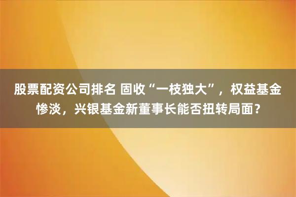 股票配资公司排名 固收“一枝独大”，权益基金惨淡，兴银基金新董事长能否扭转局面？